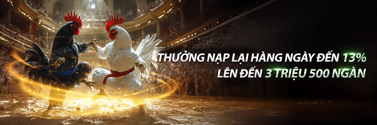 Sân vận động tràn đầy năng lượng với các trận đấu thể thao và biểu tượng cá cược của 97win9 nhà cái