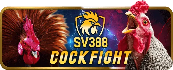 Quy trình đăng ký 97win9 nhà cái